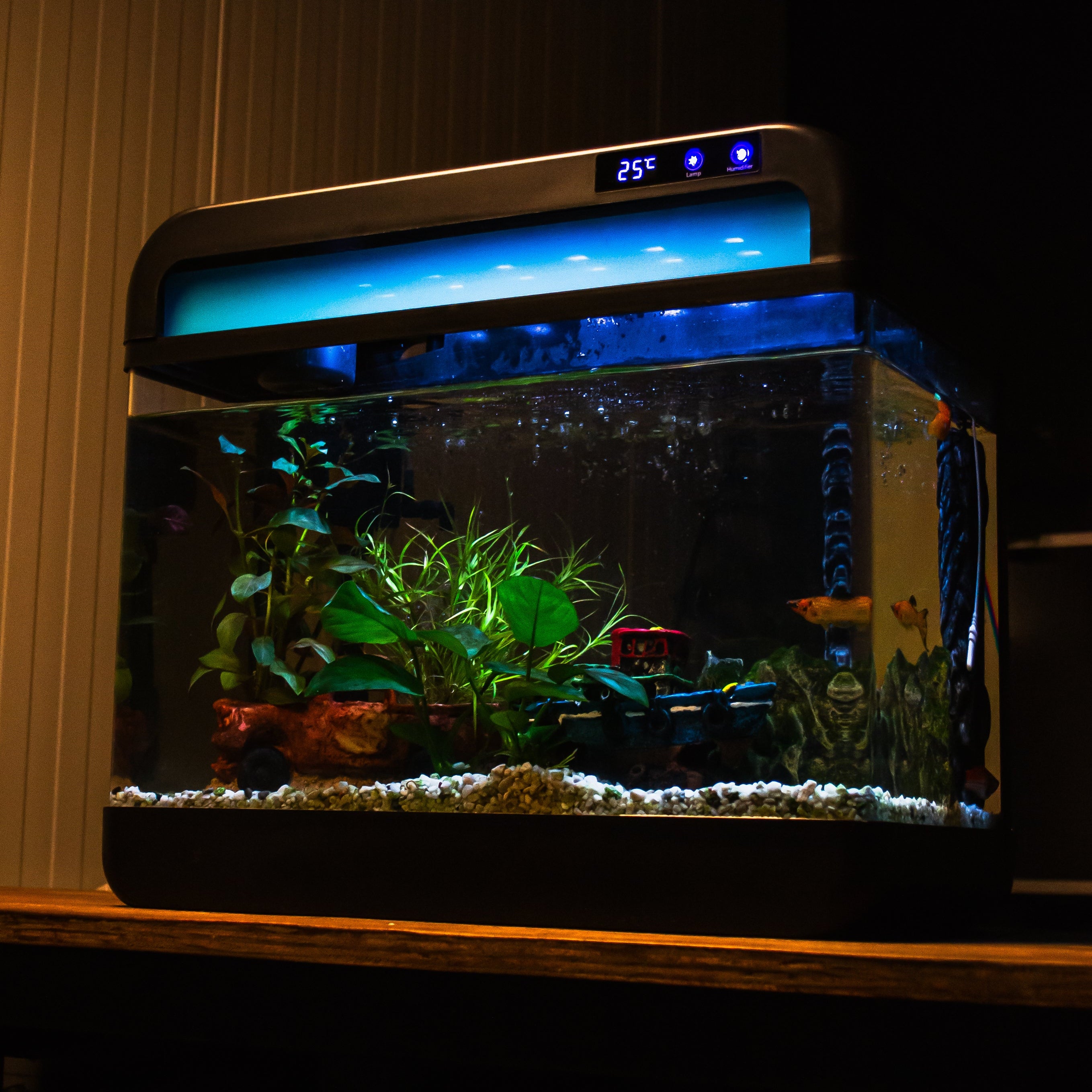 AquaImpact Premium 26L - Luxe design aquarium met uniek mist-effect en sfeerverlichting